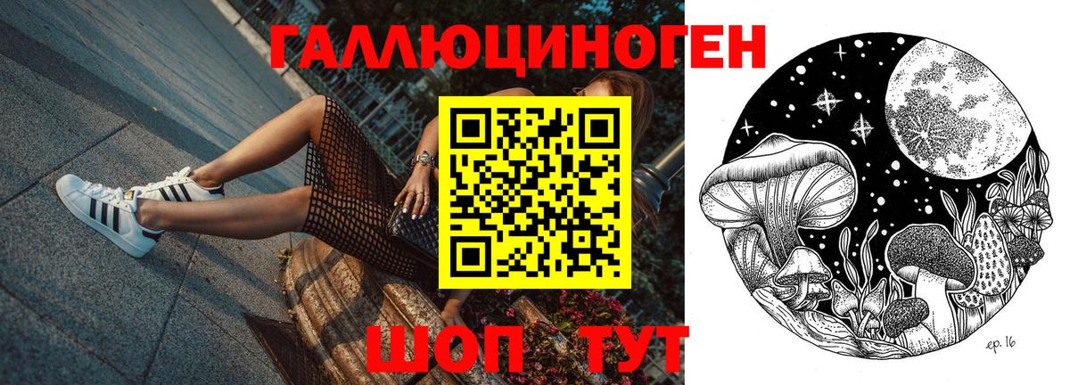 Псилоцибиновые грибы Psilocybe Кушва