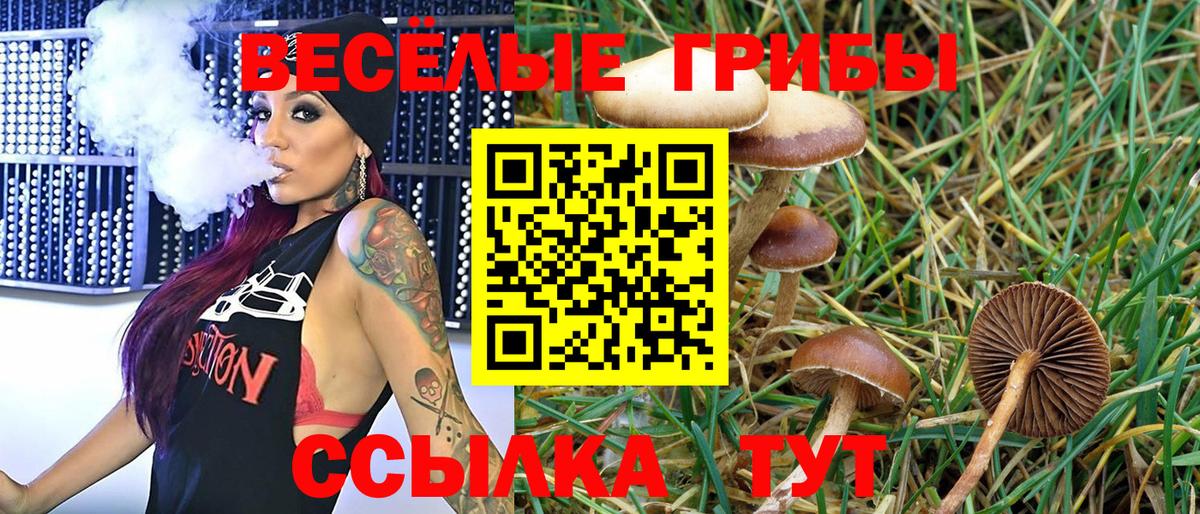 Галлюциногенные грибы MAGIC MUSHROOMS  Псилоцибиновые грибы GOLDEN TEACHER  Кушва  Вход с VPN 
