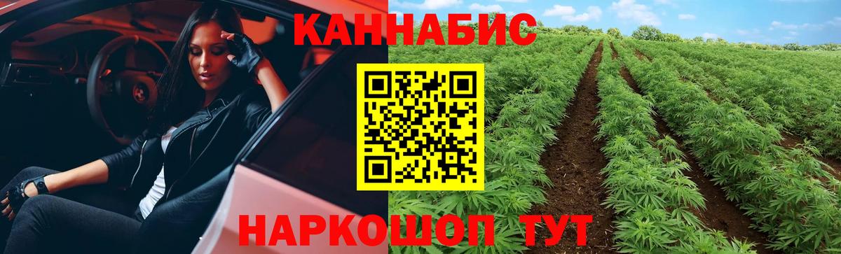 Конопля планчик Кушва
